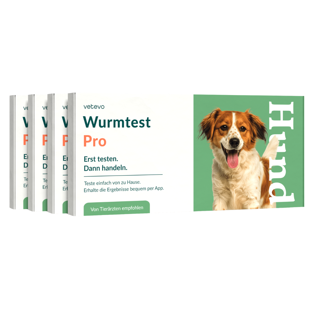 Wurmtest Pro Hund