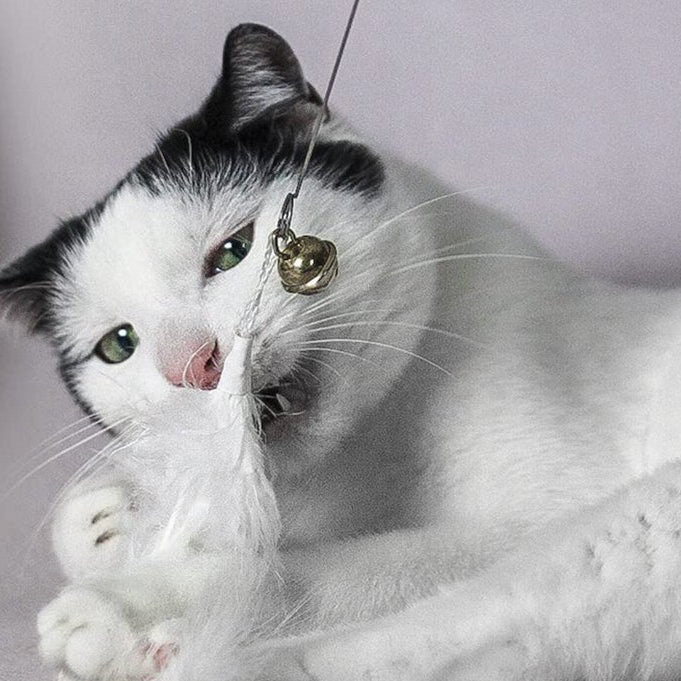 Ersatzanhänger 2er Set für Katzenangel - Feder + Feder