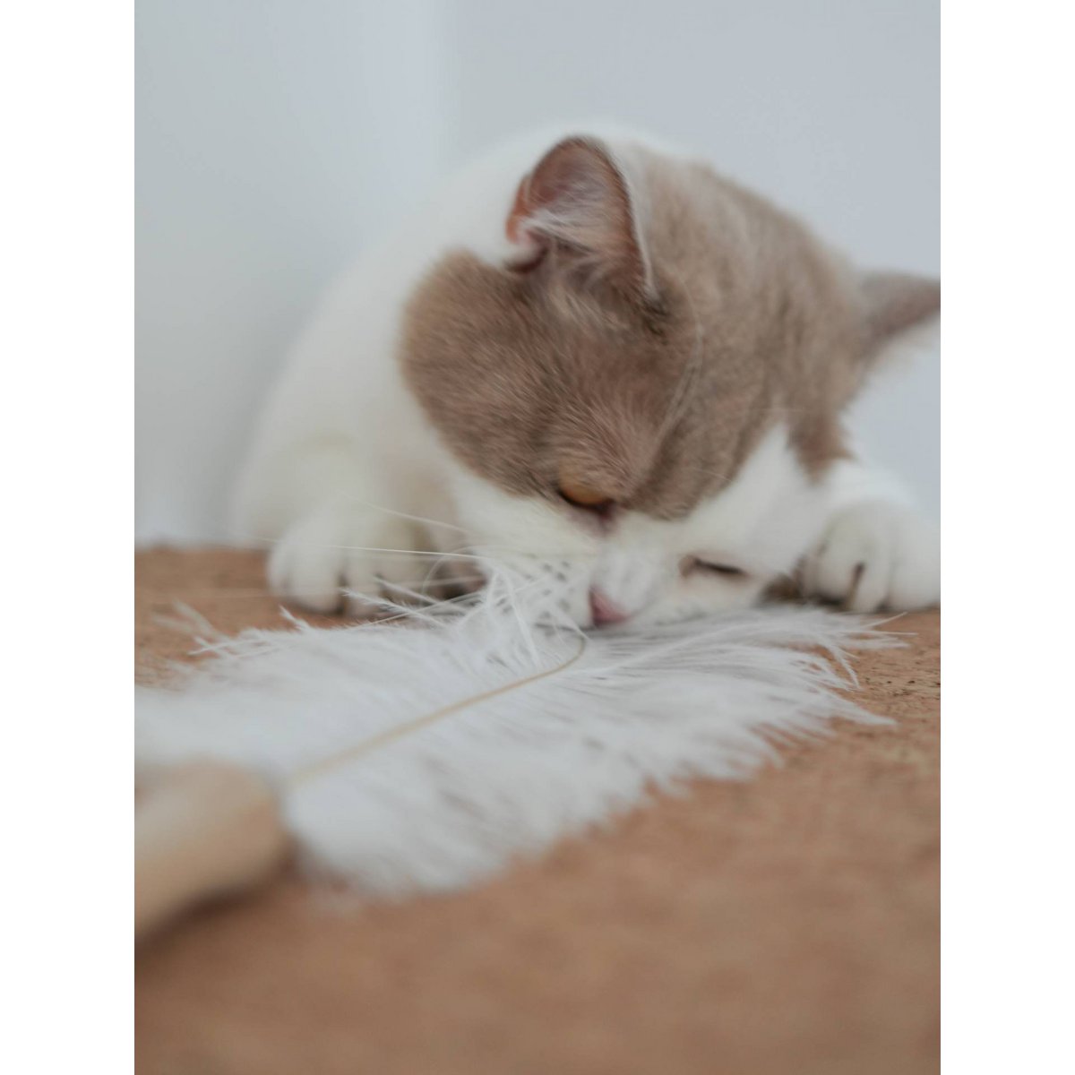 Federwedel mit echter Straußenfeder