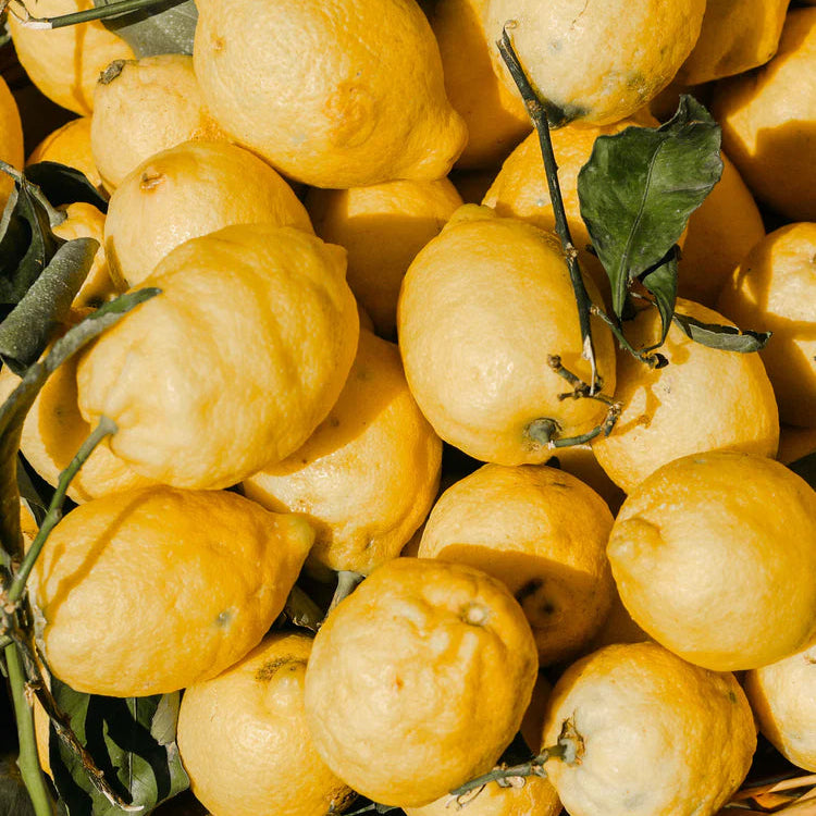 Masimalo Symbolbild frische Zitronen