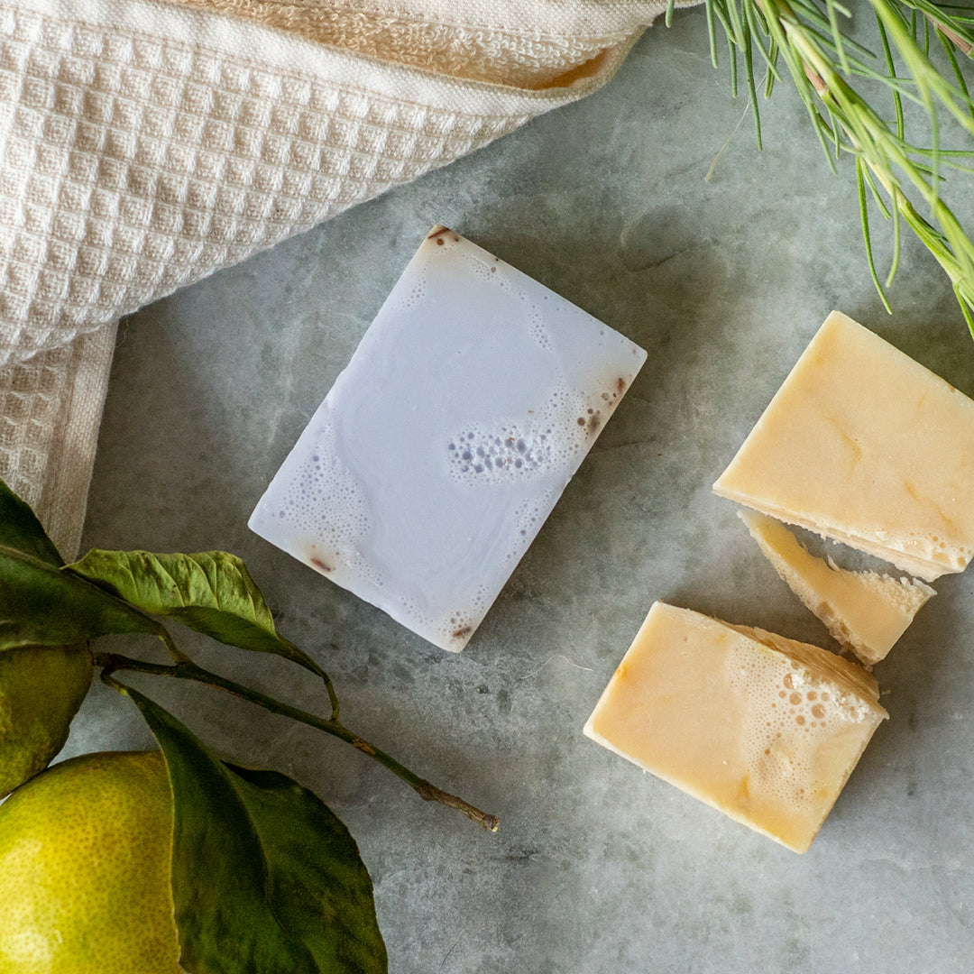 Masimalo Hundeseifen Lifestyle Foto