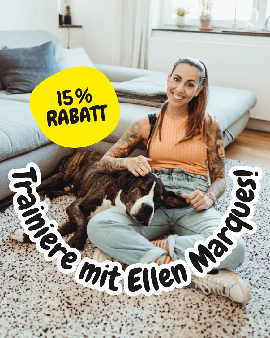 BUDDY. Hundespielzeug aus Leder "Möwe"