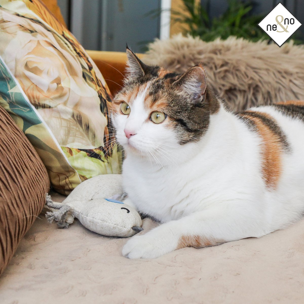 3er Set Katzenspielzeug mit Baldrian