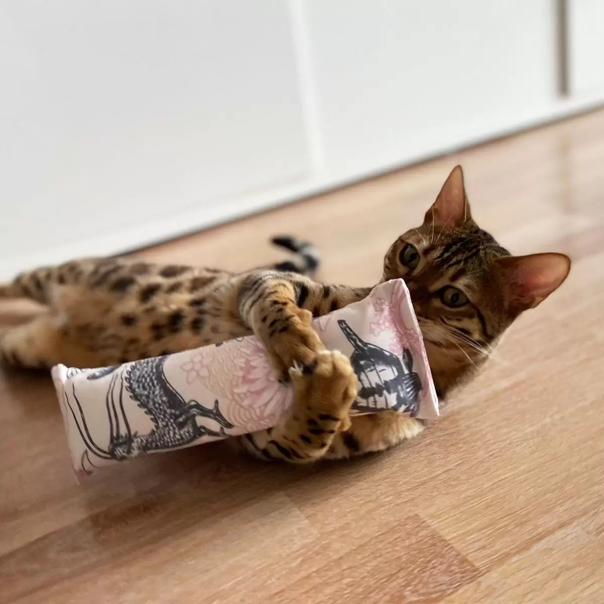 Katzenspielzeug