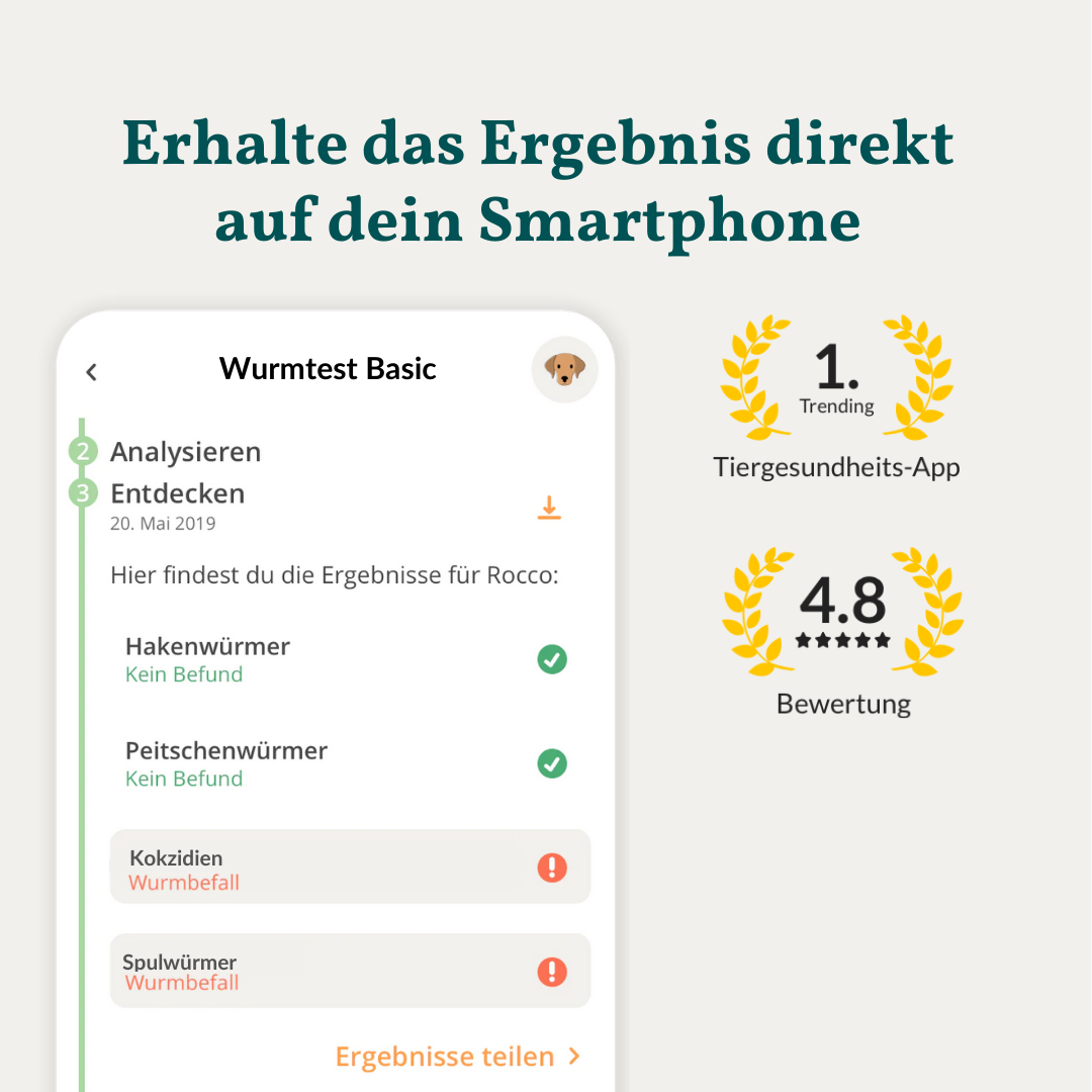 Wurmtest Basic Hund