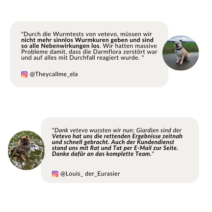 Wurmtest Basic Hund