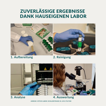 Lungenwurmtest Katze