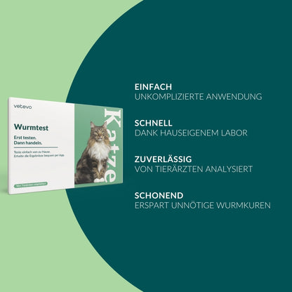 Giardientest Katze