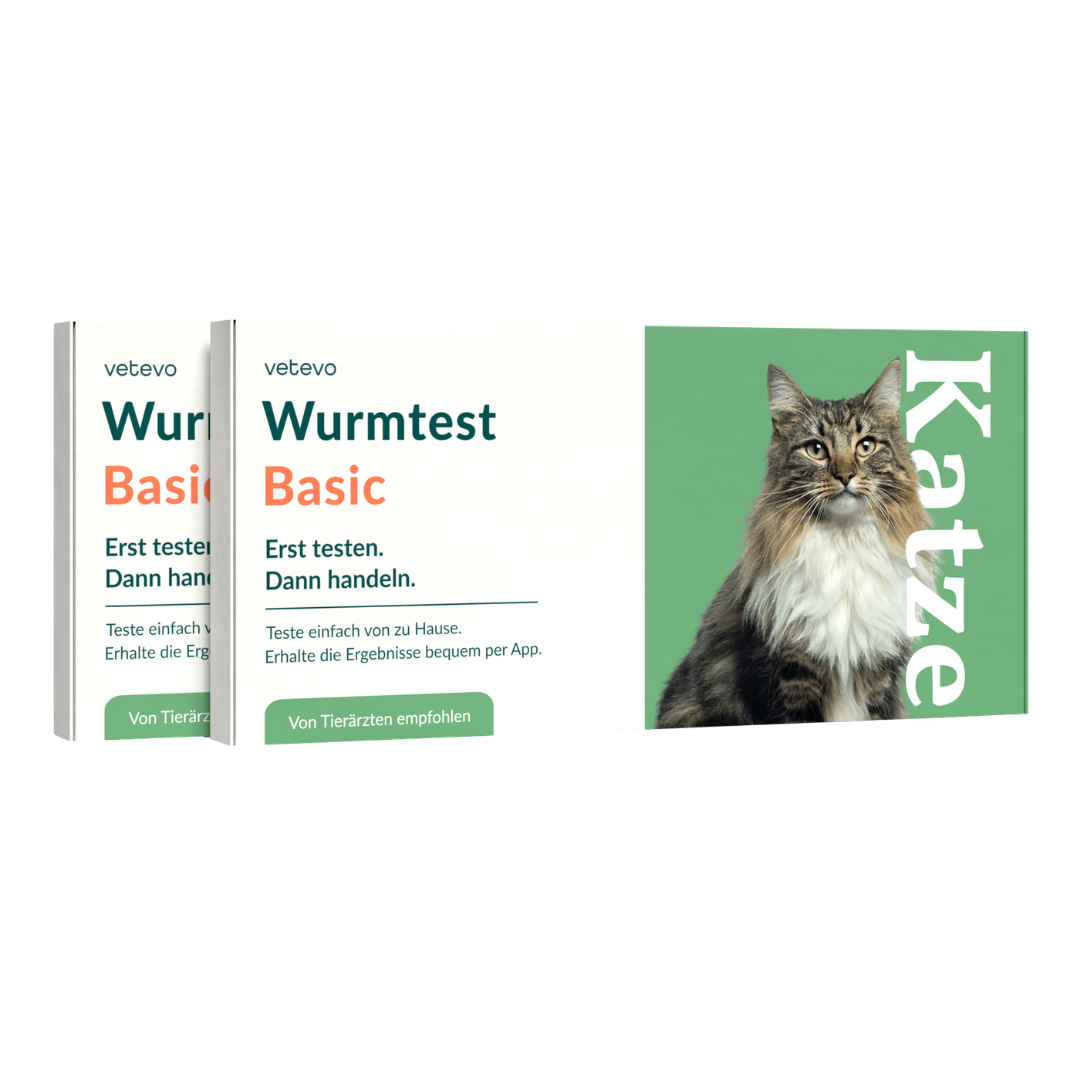 Wurmtest Basic Katze