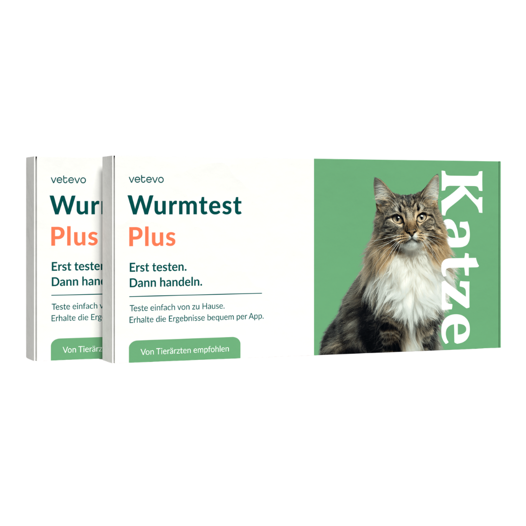 Wurmtest Plus Katze