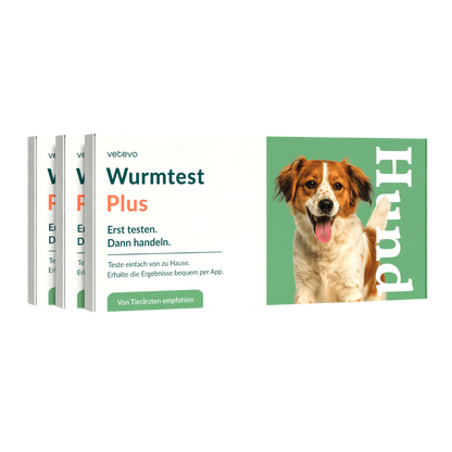 Wurmtest Plus Hund