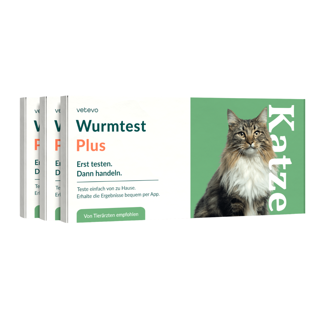 Wurmtest Plus Katze