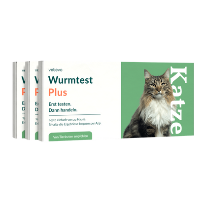 Wurmtest Plus Katze