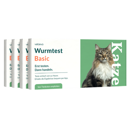 Wurmtest Basic Katze