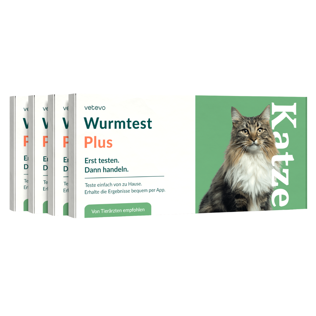 Wurmtest Plus Katze