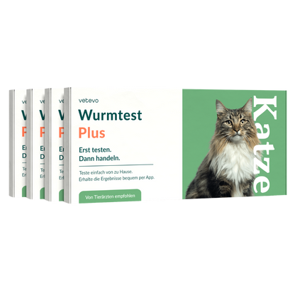 Wurmtest Plus Katze