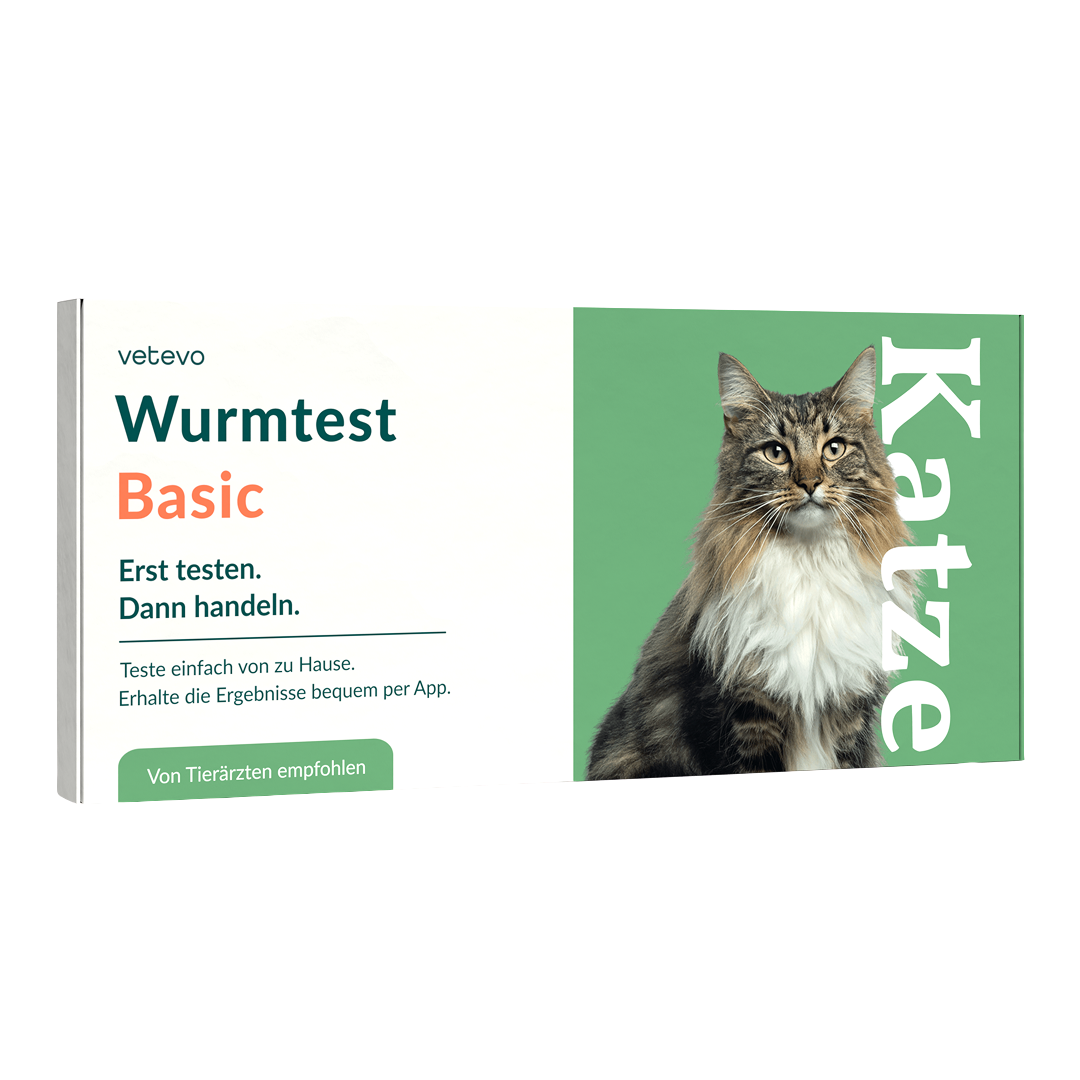 Wurmtest Basic Katze