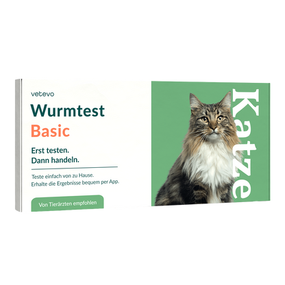 Wurmtest Basic Katze