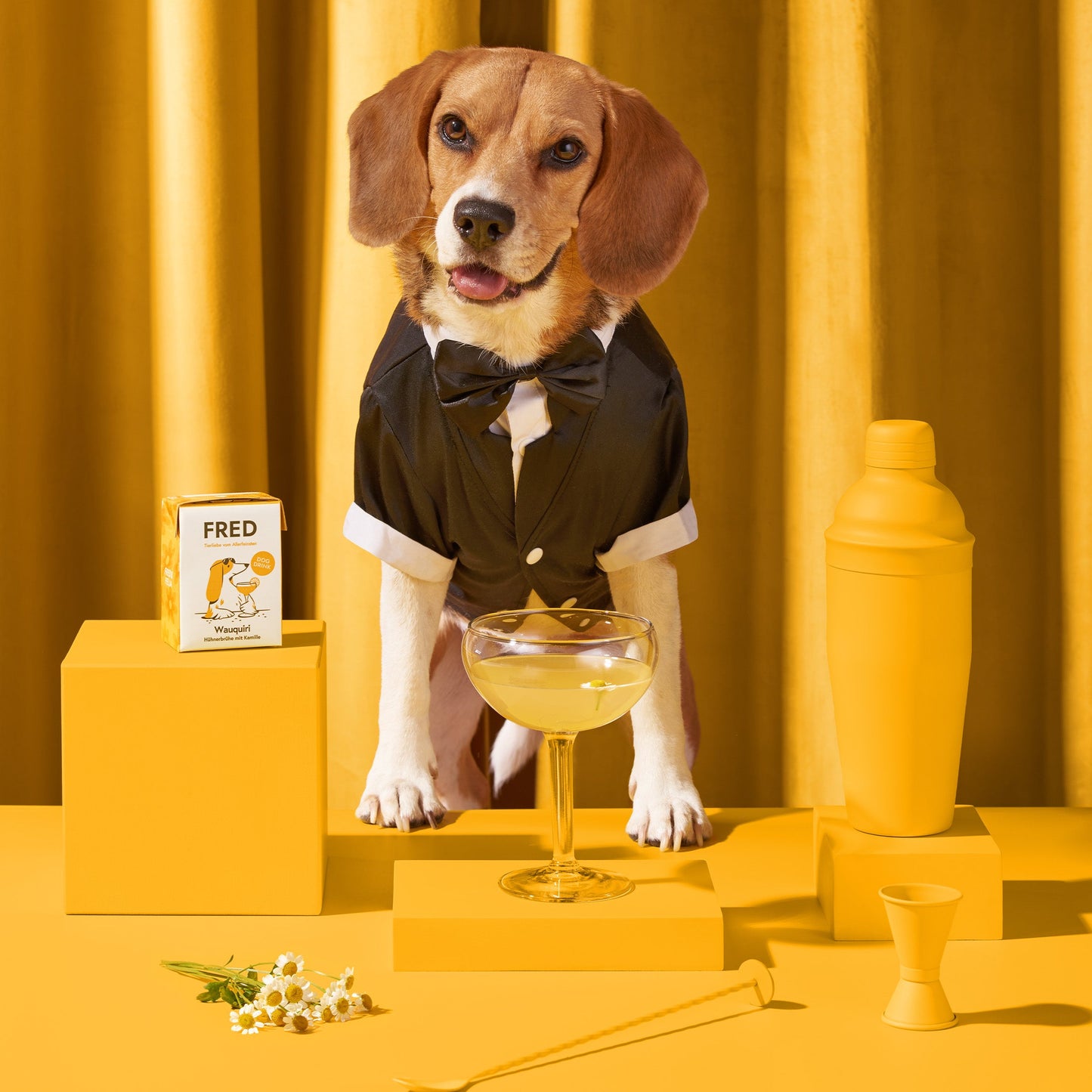 FRED Dog Drink "Wauquiri"