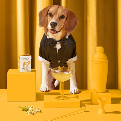 FRED Dog Drink "Wauquiri"