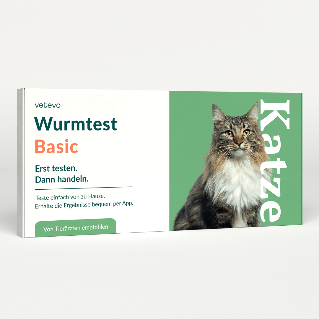 Wurmtest Basic Katze