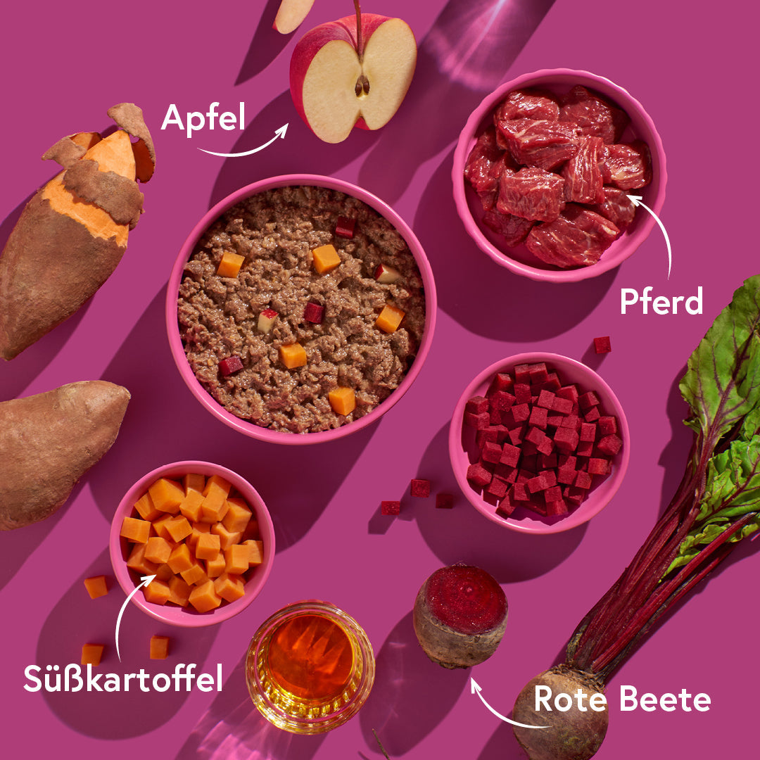 FRED Pferd mit Süßkartoffeln