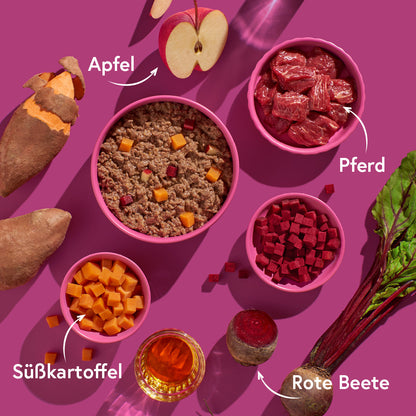 FRED Pferd mit Süßkartoffeln