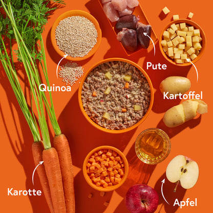 FRED Pute mit Kartoffeln