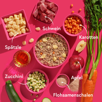 FRED Schwein mit Spätzle