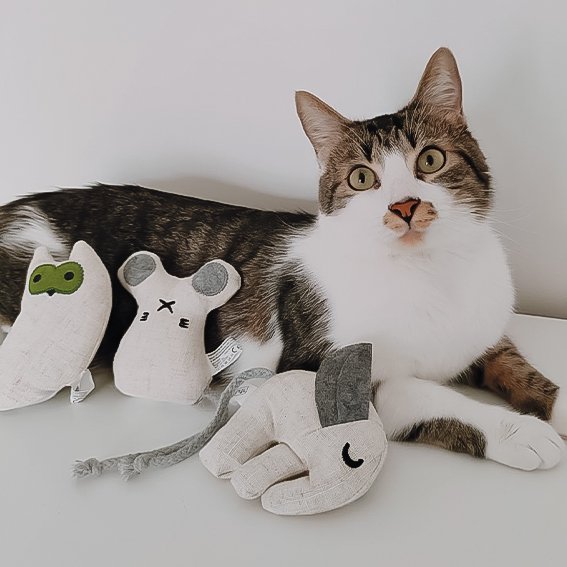 3er Set Katzenspielzeug mit Katzenminze