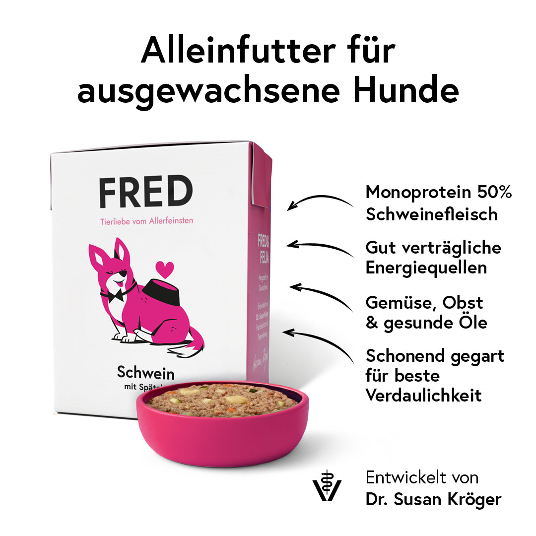 FRED Schwein mit Spätzle