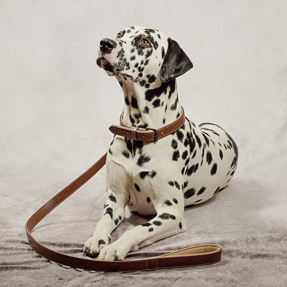Halsband und Leine im Set aus veganem Leder Dunkelbraun/Beige