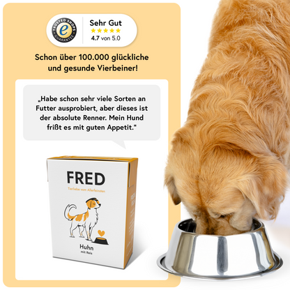 FRED Huhn mit Reis