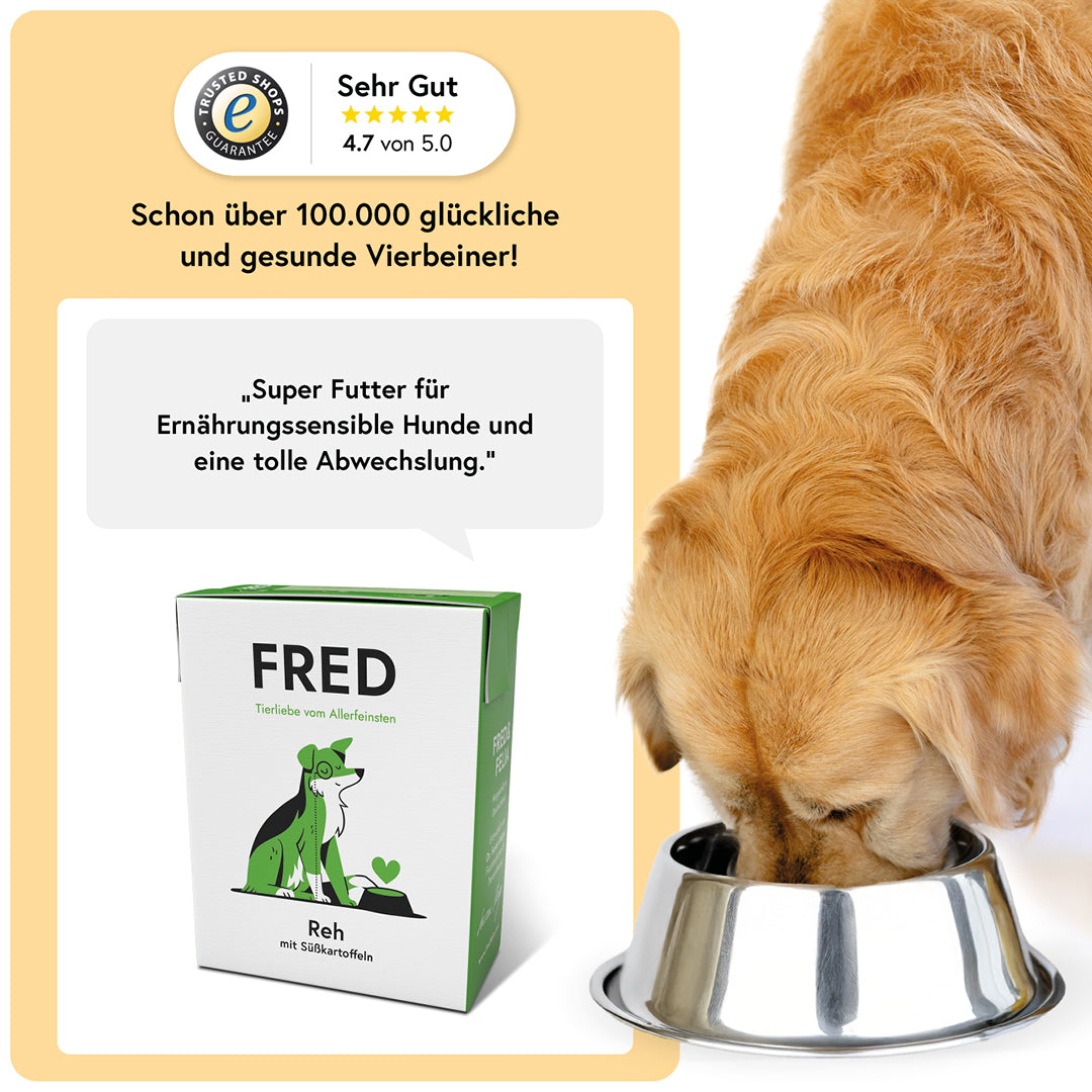 FRED Reh mit Süßkartoffeln