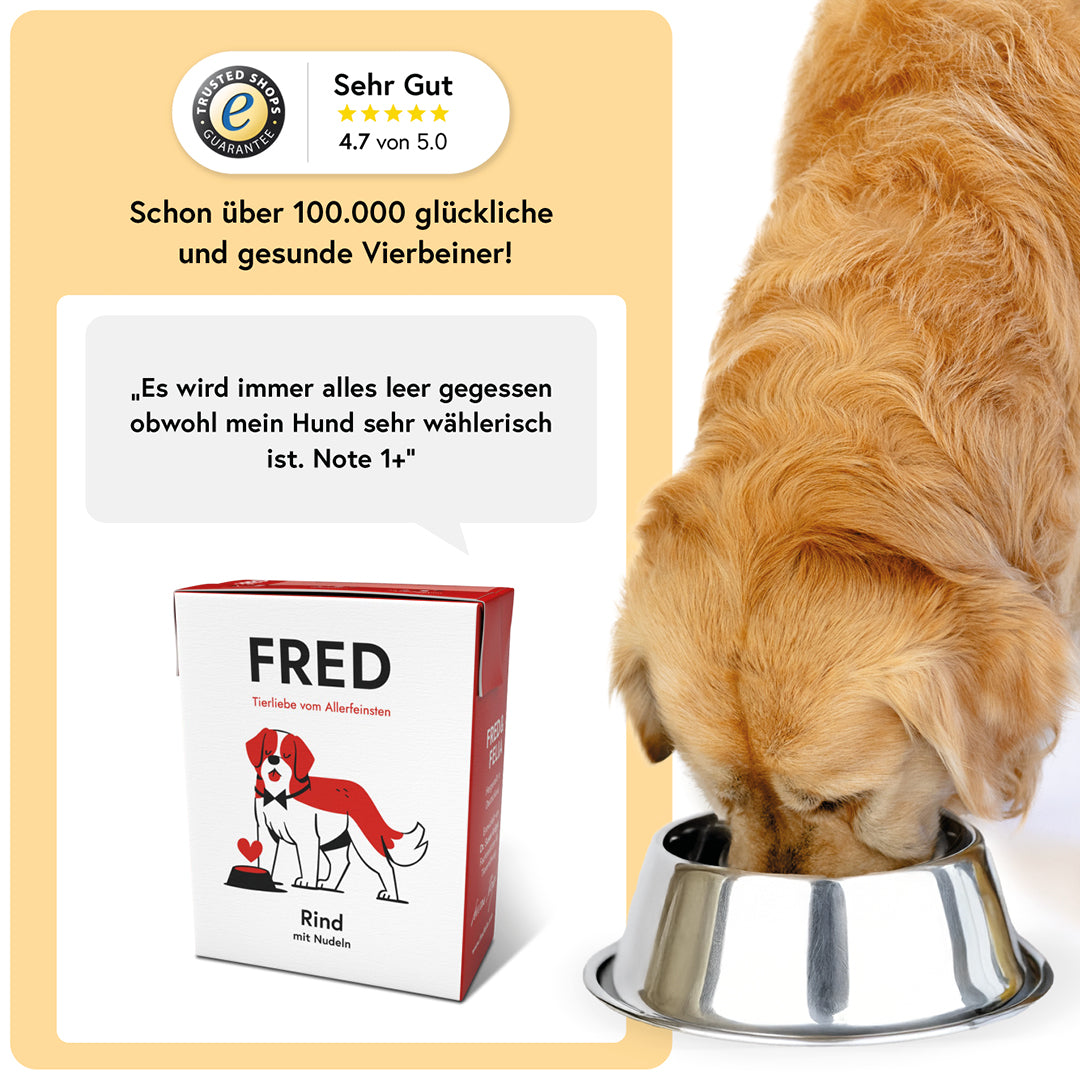 FRED Rind mit Nudeln
