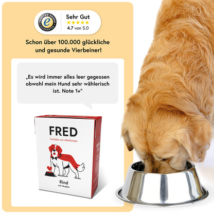 FRED Rind mit Nudeln