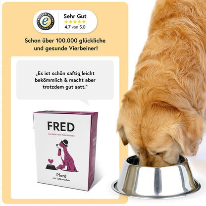 FRED Pferd mit Süßkartoffeln