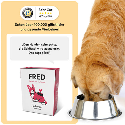FRED Schwein mit Spätzle