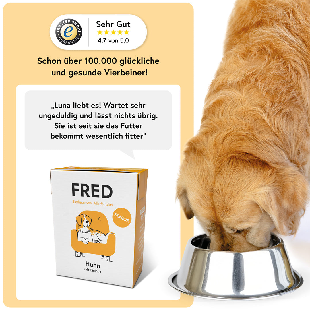 FRED SENIOR Huhn