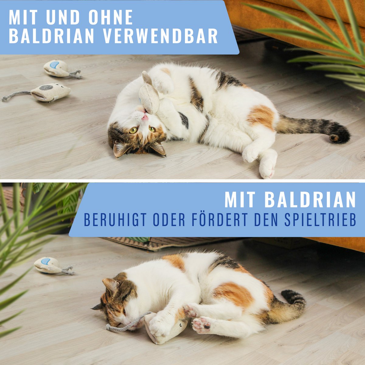 3er Set Katzenspielzeug mit Baldrian