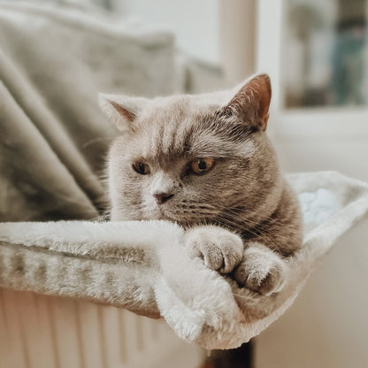 Kuschelige Heizkörperliege für Katzen