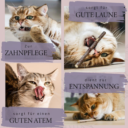Geschenkset Katzen-Wohlfühlkräuter: Katzenminze + Baldrian Spray + Matatabi Sticks