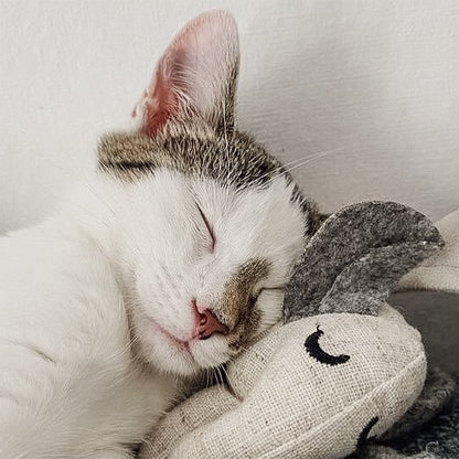 3er Set Katzenspielzeug mit Katzenminze