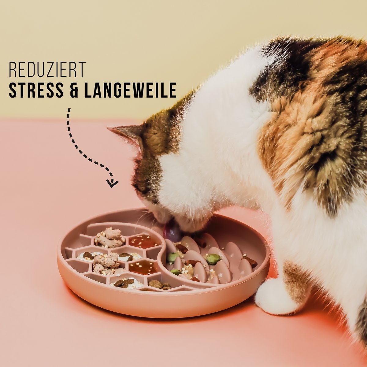 hundefutter rinti Rinti Gold Lamm Dose: Fleisch Pur fr Hunde