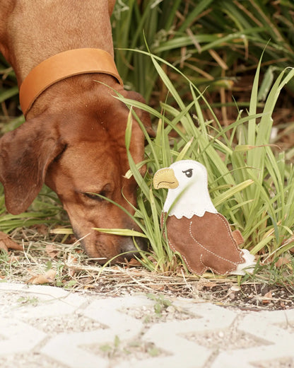 BUDDY. Hundespielzeug aus Leder "Adler"