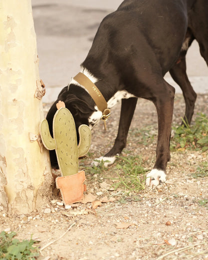 BUDDY. Hundespielzeug aus Leder "Kaktus"