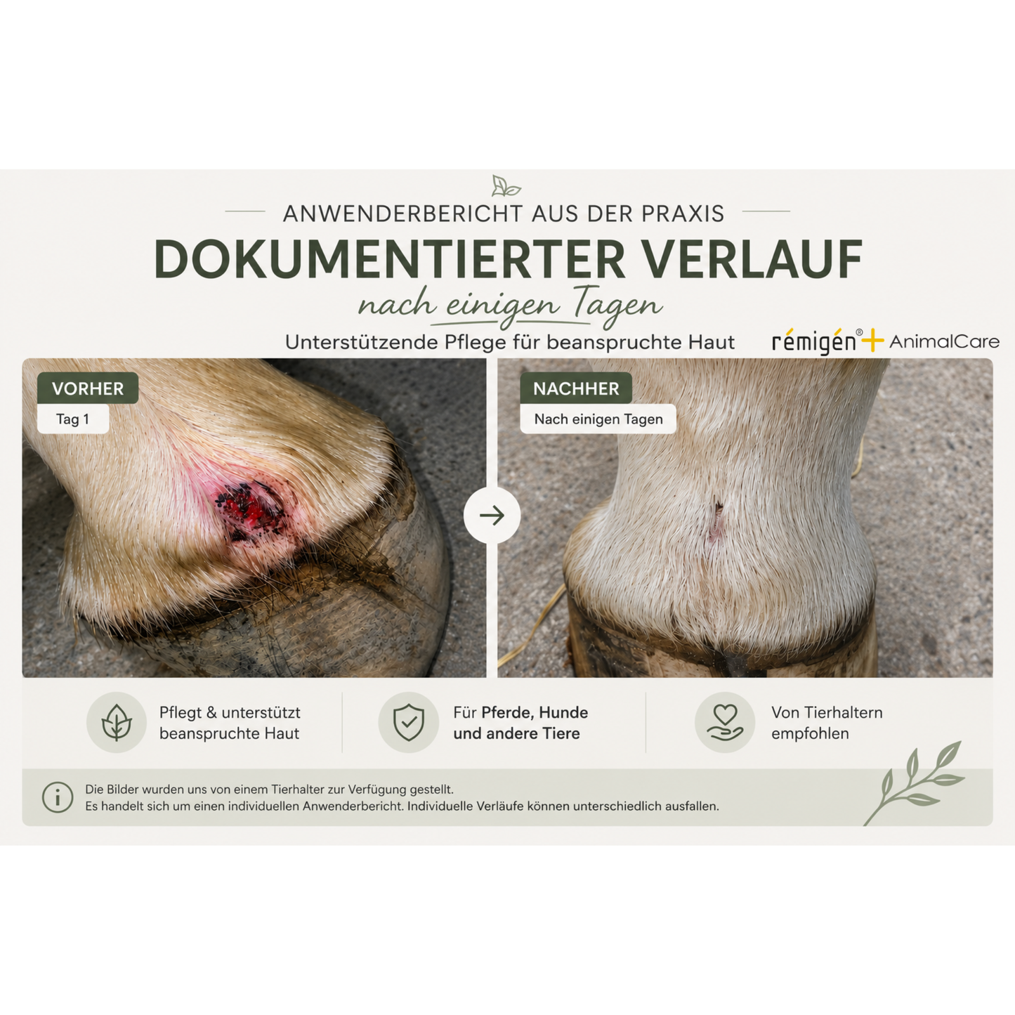 rémigén+ AnimalCare 20+ – Intensive Hautpflege-Suspension für Tiere | 30 ml