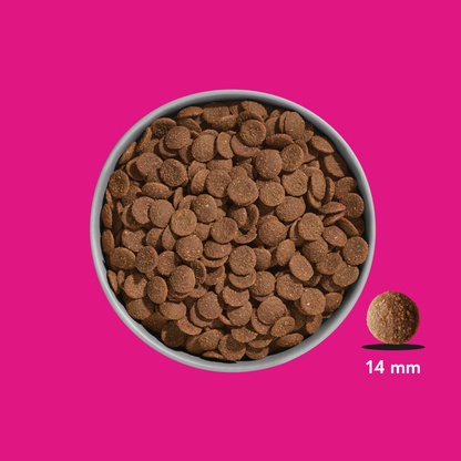 FRED Premium Trockenfutter Schwein