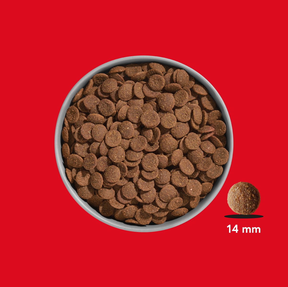 FRED Premium Trockenfutter Rind & Pferd