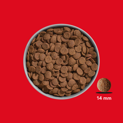 FRED Premium Trockenfutter Rind & Pferd